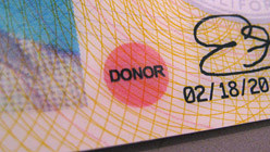 How to remove organ donor from drivers license california